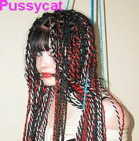 a_Pussycat_intro.jpg