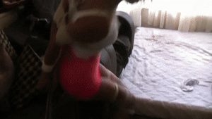 www.trussedup.com - gorgeous stripper girl FiFi brutally tied up hogtied and gagged in a pervs shack thumbnail